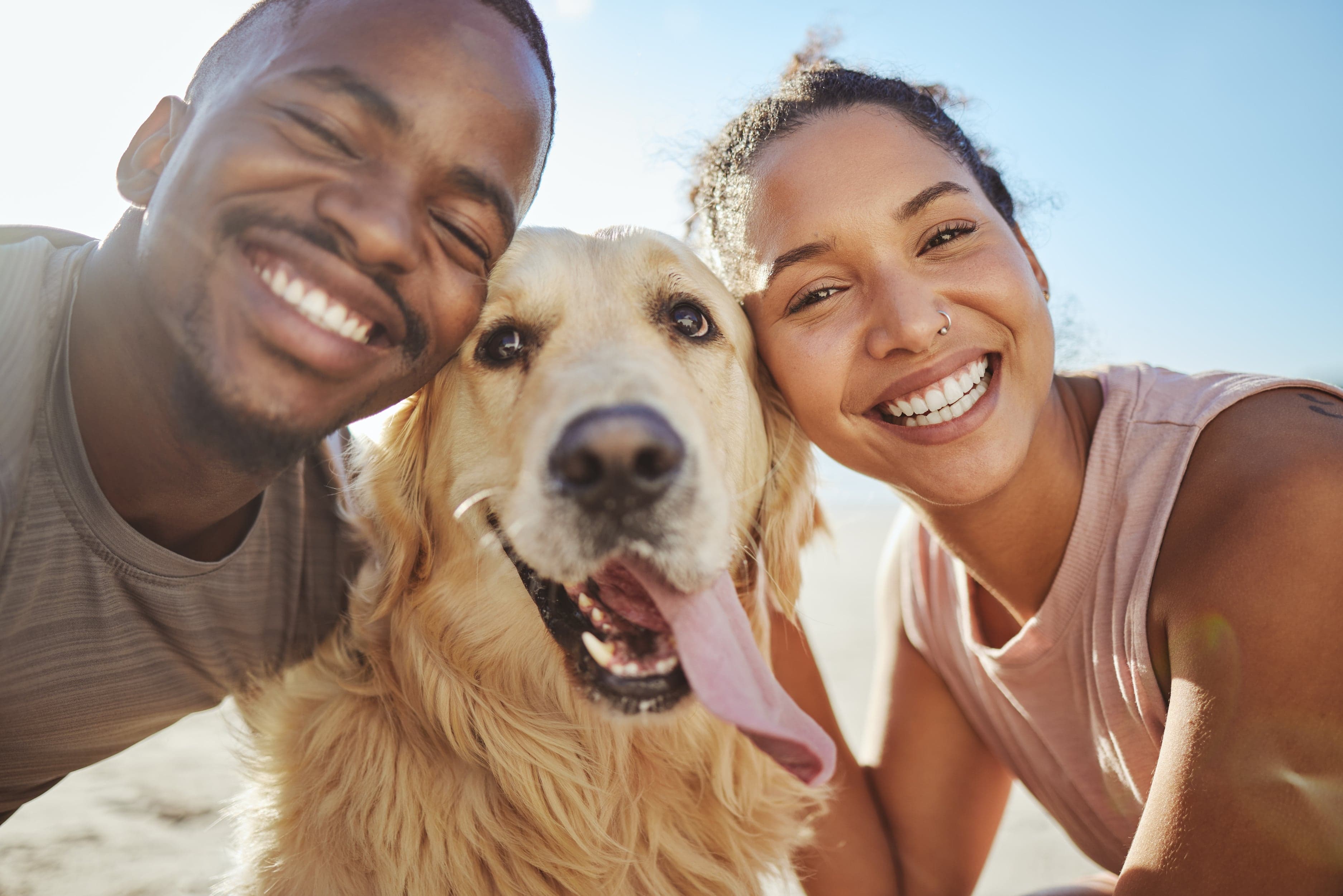 Tutores com seu cão