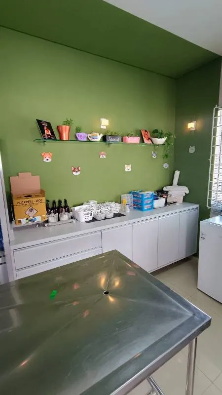 Espaço da Clinipatas — imagem 4