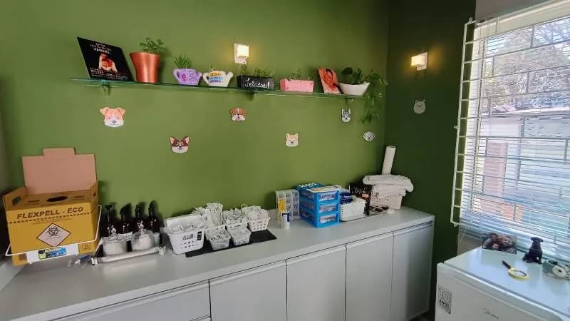 Espaço da Clinipatas — imagem 6