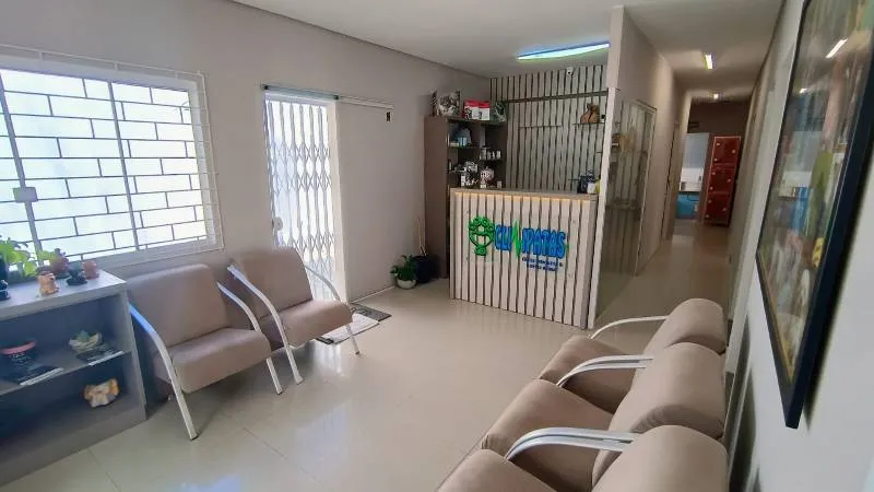Espaço da Clinipatas — imagem 3